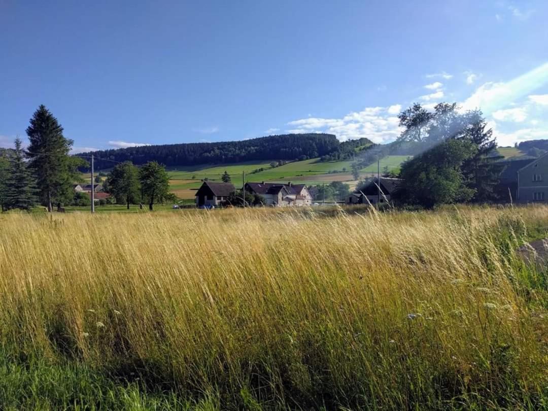 Agroturystyka "U Kasi" Scinawka Gorna 外观 照片