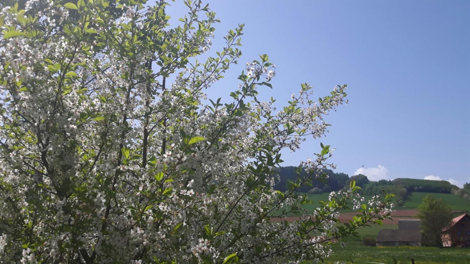 Agroturystyka "U Kasi" Scinawka Gorna 外观 照片