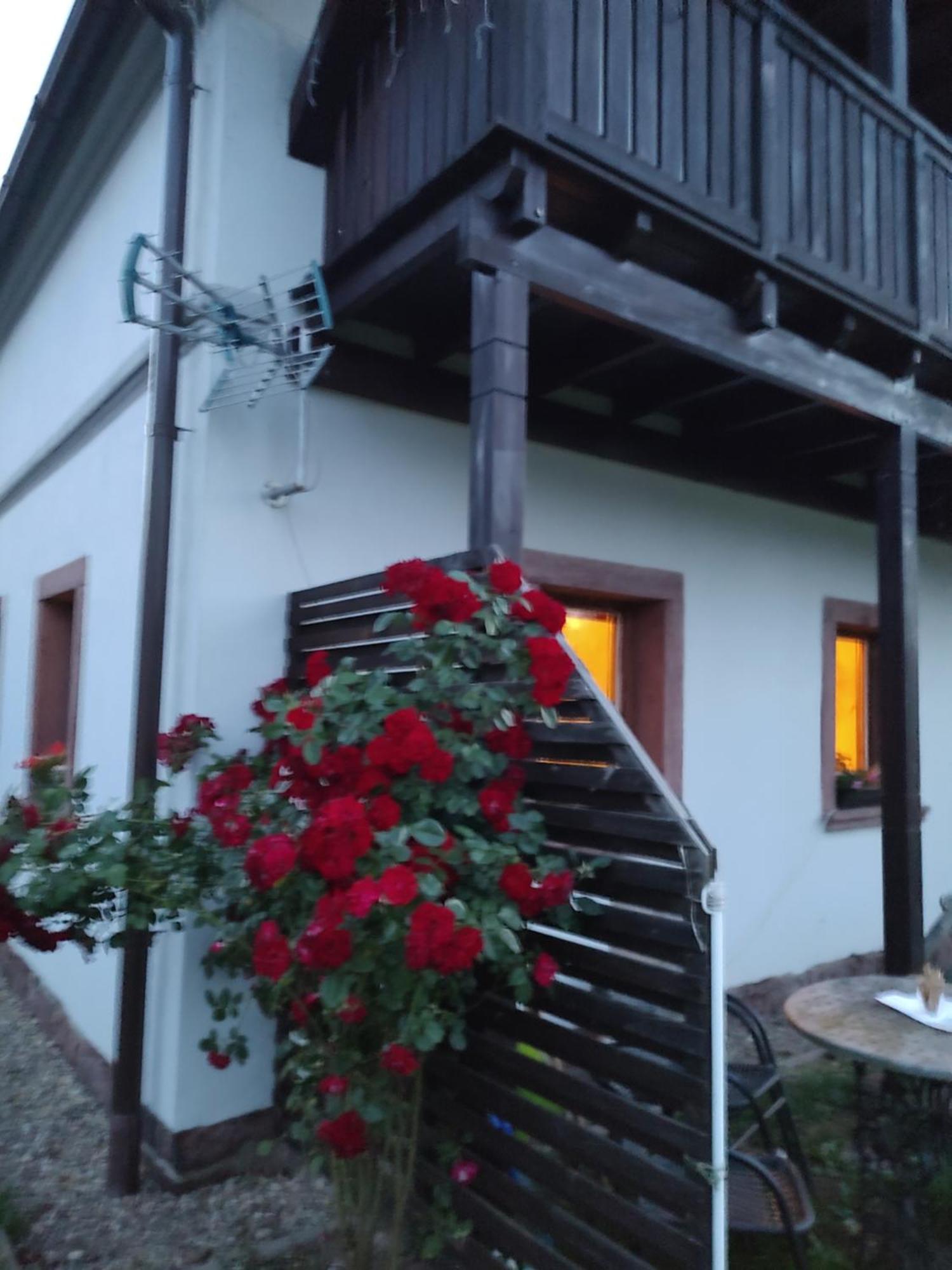 Agroturystyka "U Kasi" Scinawka Gorna 外观 照片